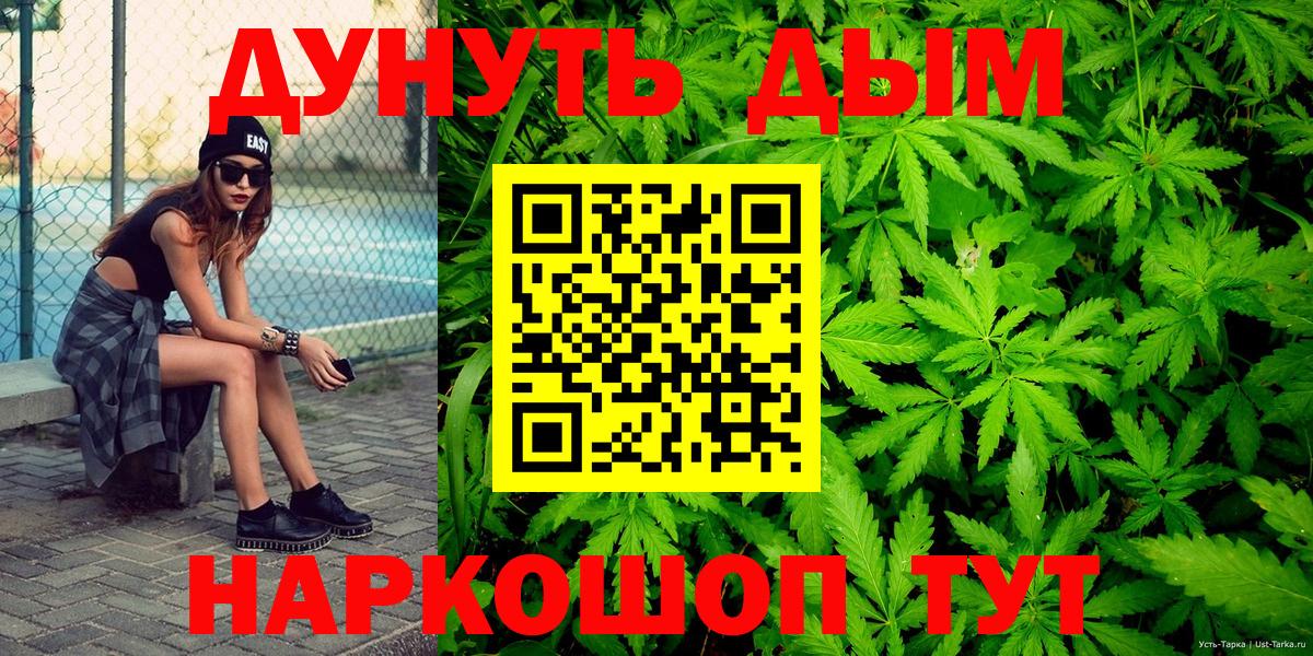 Каннабис сатива Краснокаменск